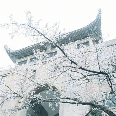 【境内疫情观察】北京市丰台区开展全员核酸检测（1月23日）